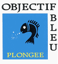 ObjectifBleu